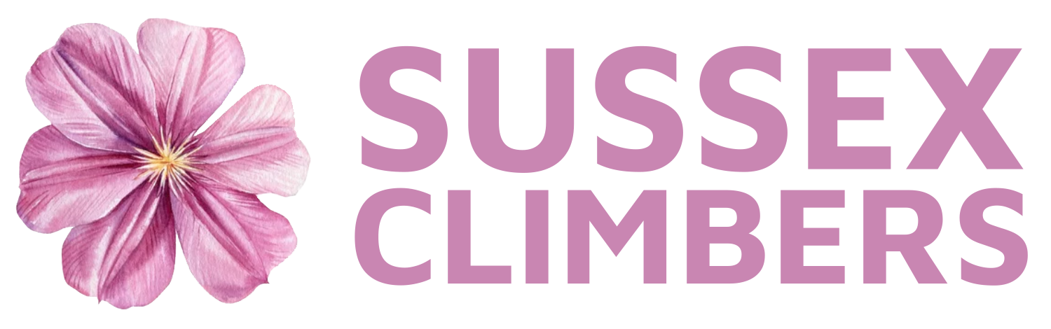 Sussex Climbers